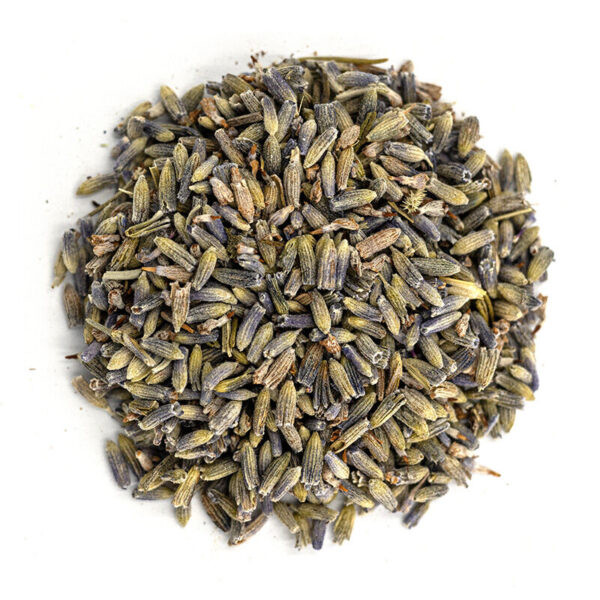 Lavanda