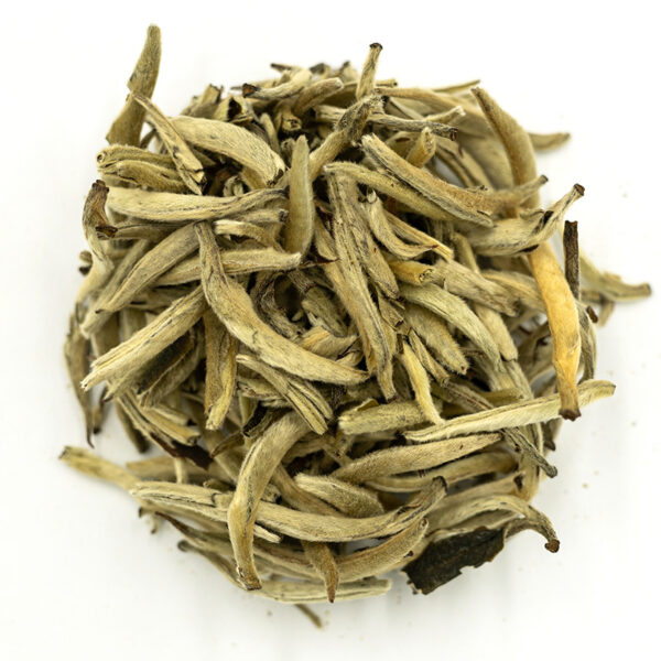 Yin Zhen